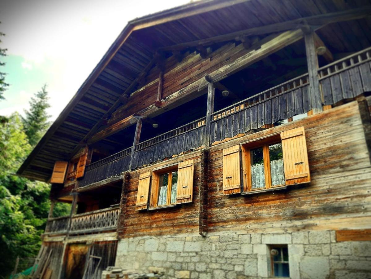 Lachat Appartement En Chalet Typique رون - ألب المظهر الخارجي الصورة