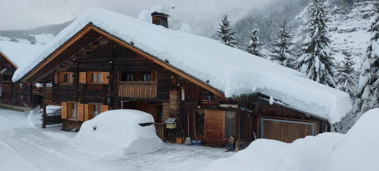 Lachat Appartement En Chalet Typique رون - ألب المظهر الخارجي الصورة